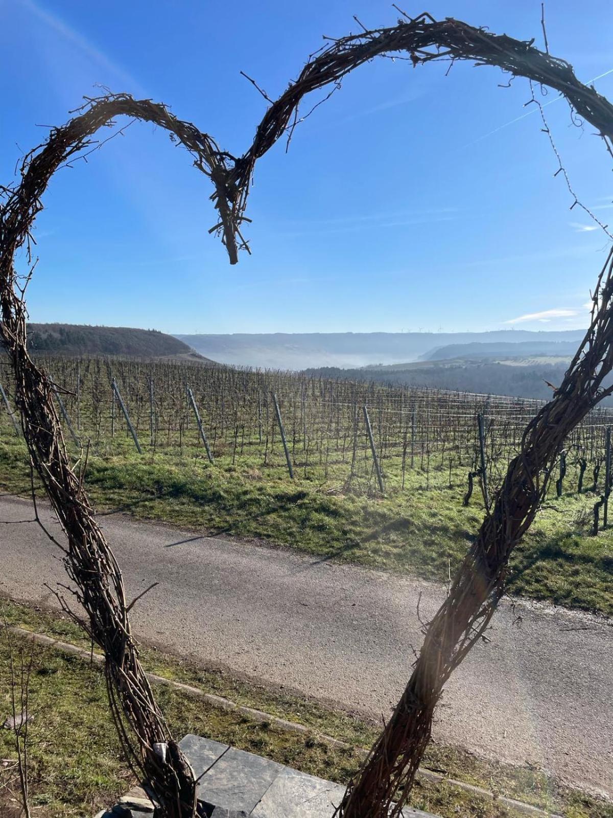 Fewo Waldblick - Urlaub Im Wein & Ferienort Bekond Extérieur photo
